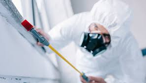 Best Fumigation Services  in Averill Park, NY